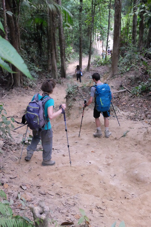 trekking poles