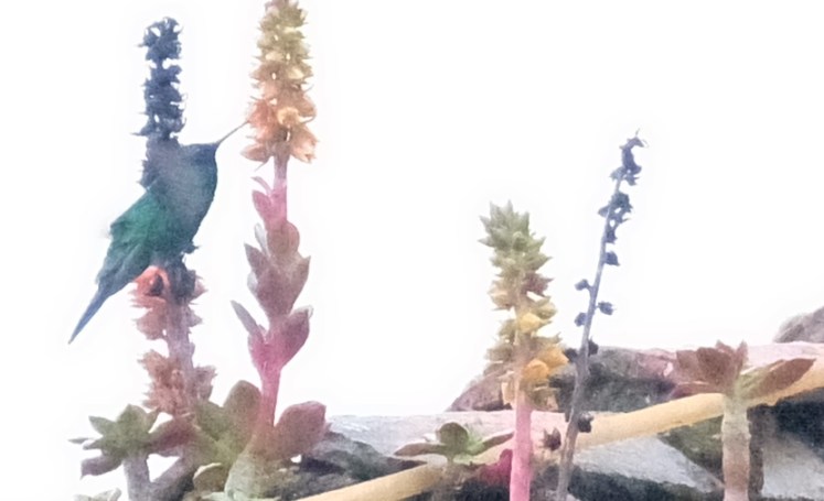 2015_0802_17444400 - copia