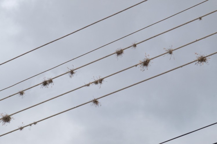 wires
