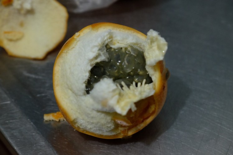 granadilla