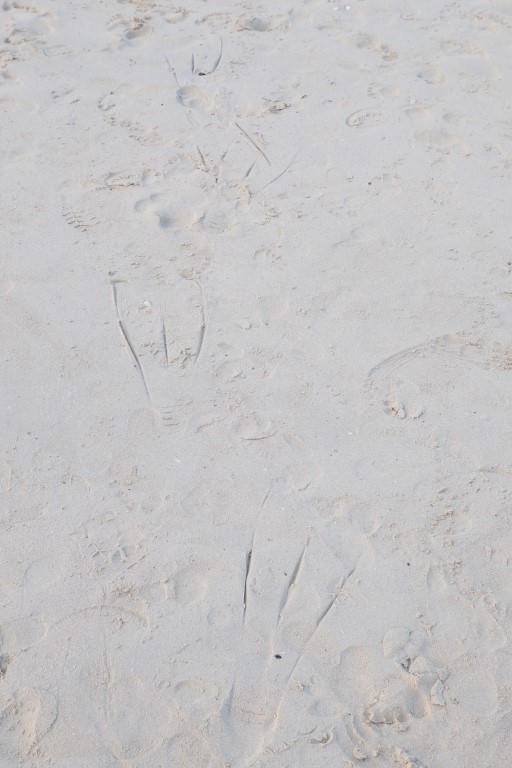 footprints