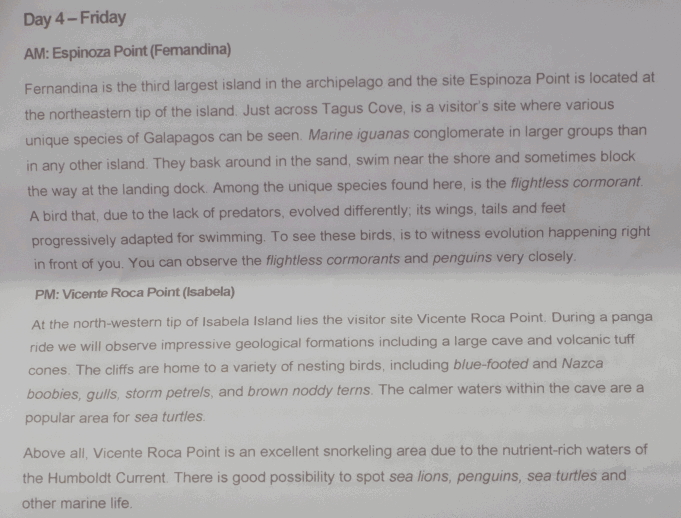 Introduction to Day 4