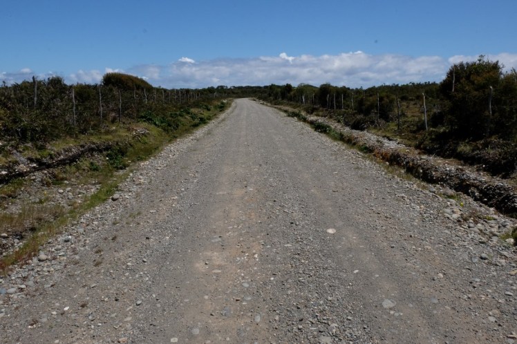 DSCF0008 (Medium).JPG