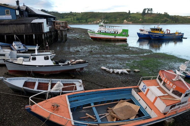 DSCF0096 (Medium).JPG