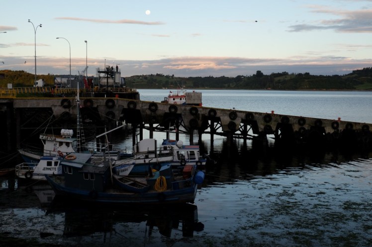 DSCF0102 (Medium).JPG