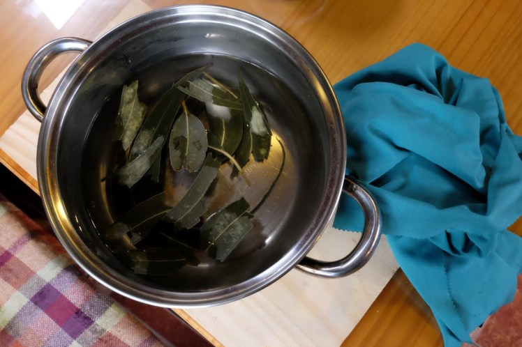 DSCF0120 (Medium).JPG