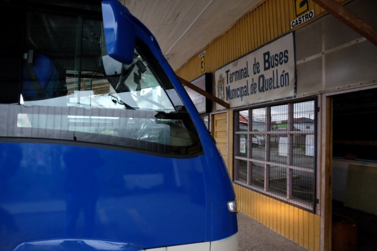 DSCF0134 (Medium).JPG