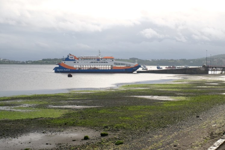 DSCF0137 (Medium).JPG