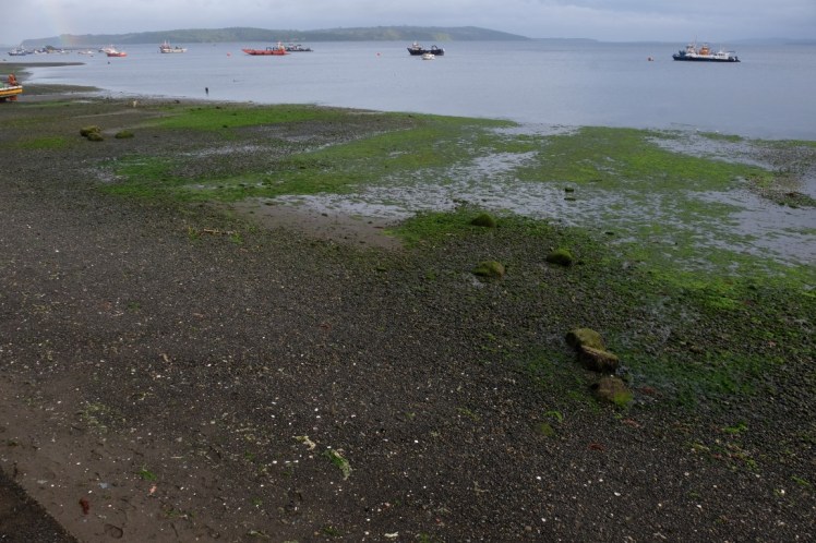 DSCF0139 (Medium).JPG