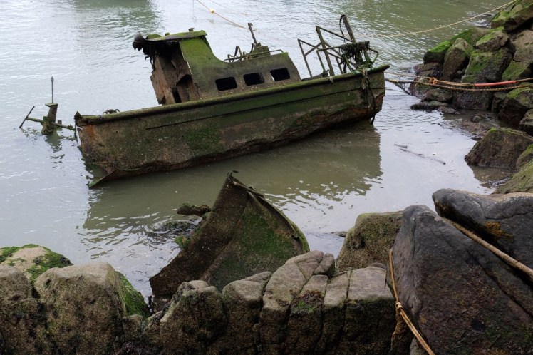 DSCF0252 (Medium).JPG