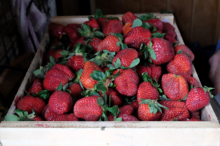 DSCF0290 (Medium).JPG