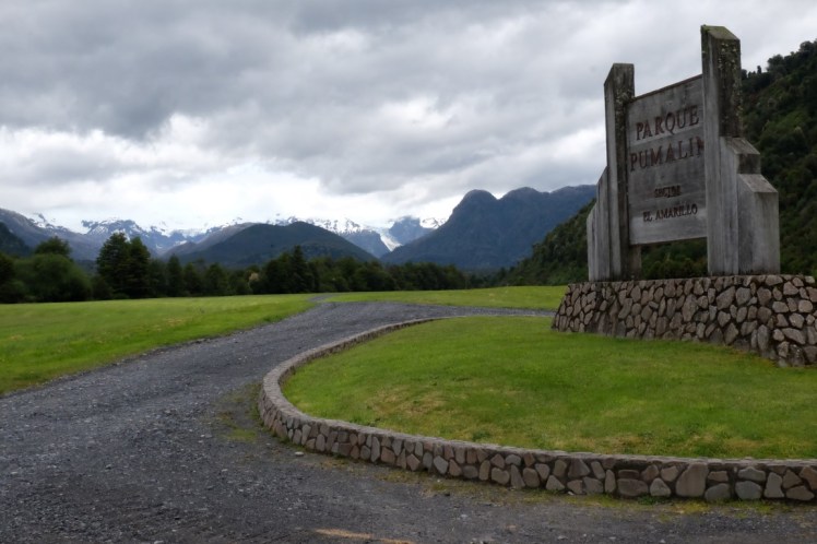 DSCF0354 (Medium).JPG