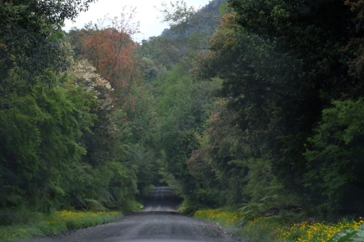 DSCF0358 (Medium).JPG