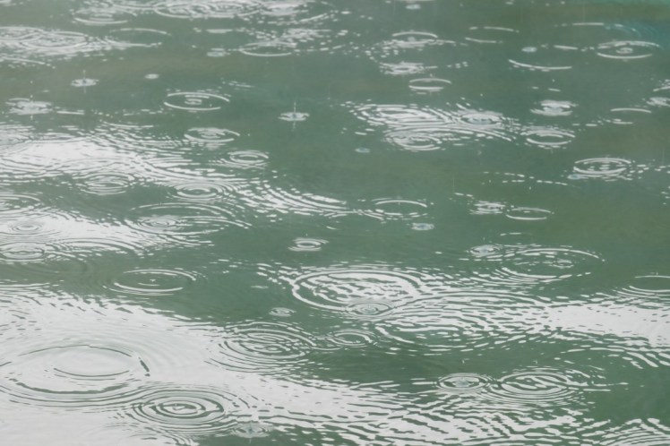 DSCF0366 (Medium).JPG