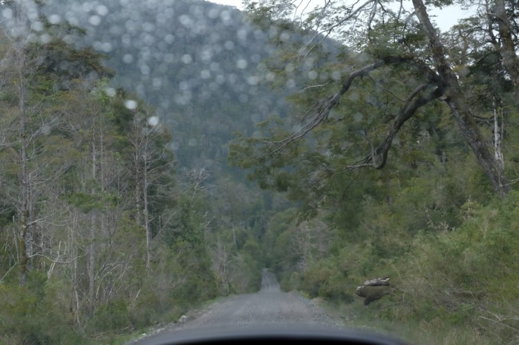 DSCF0384 (Medium).JPG