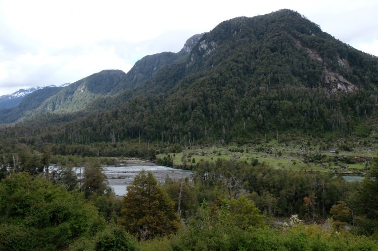 DSCF0406 (Medium).JPG