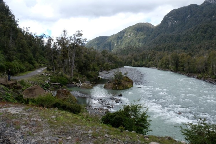 DSCF0439 (Medium).JPG