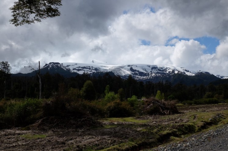 DSCF0443 (Medium).JPG