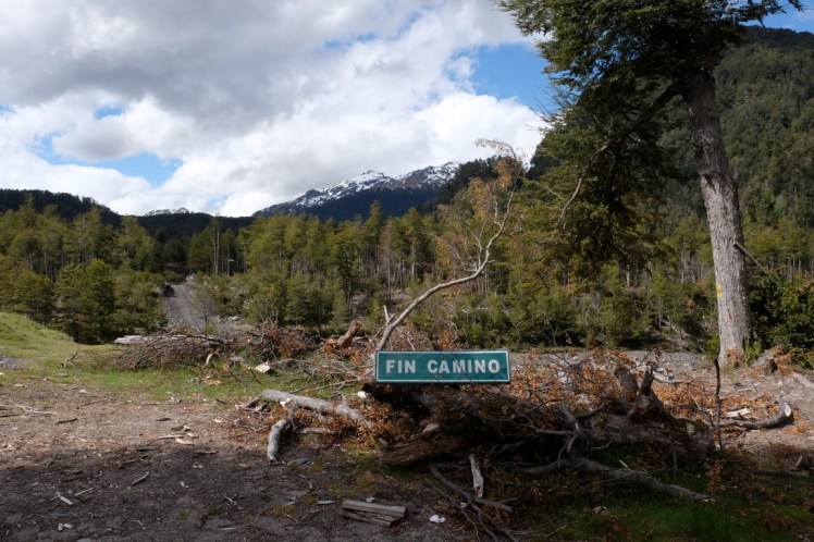 DSCF0444 (Medium).JPG