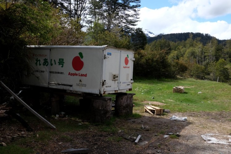 DSCF0445 (Medium).JPG