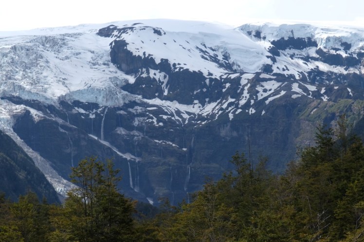 DSCF0449 (Medium).JPG