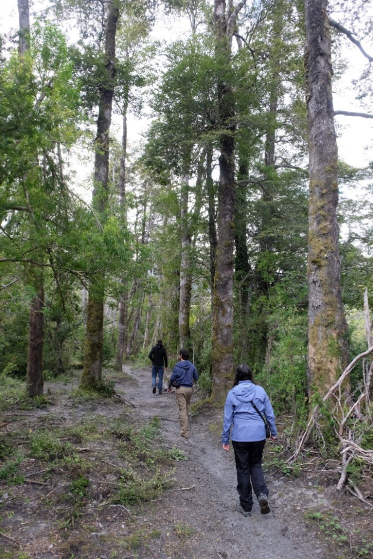 DSCF0475 (Medium).JPG