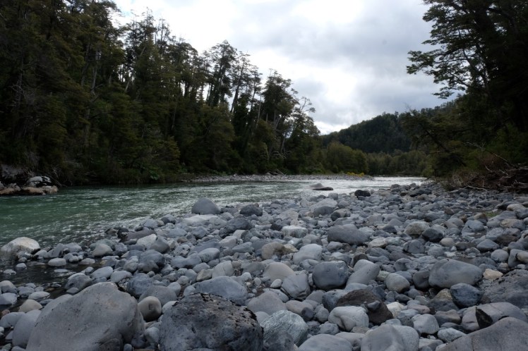 DSCF0506 (Medium).JPG