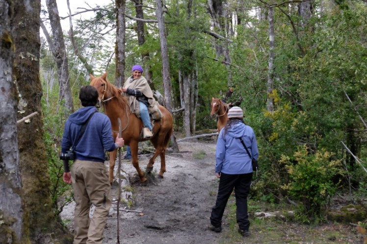 DSCF0523 (Medium).JPG