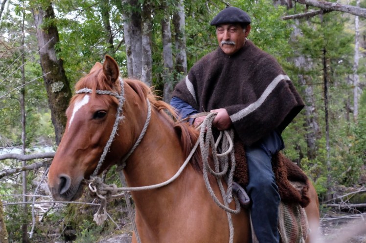 DSCF0531 (Medium).JPG