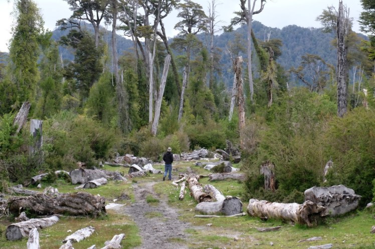 DSCF0536 (Medium).JPG