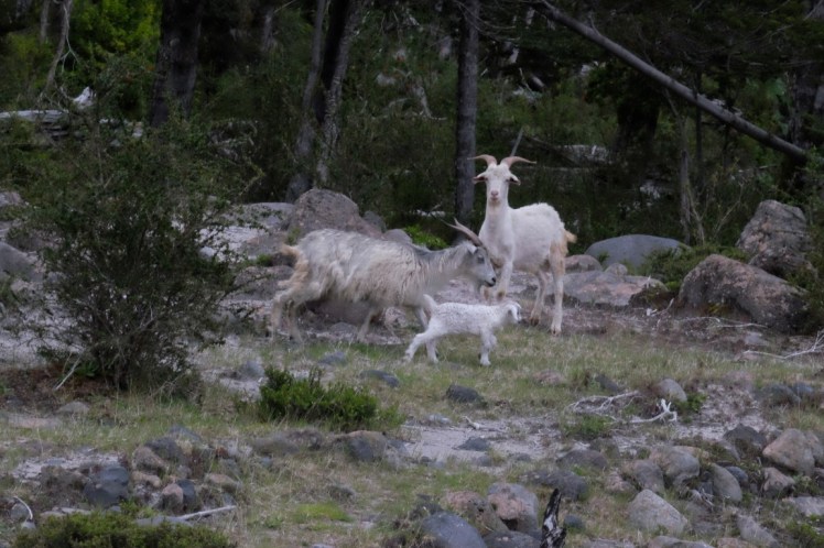 DSCF0554 (Medium).JPG