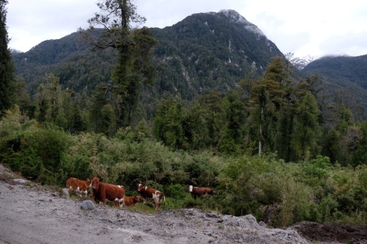 DSCF0573 (Medium).JPG