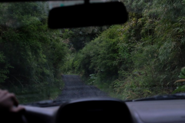 DSCF0580 (Medium).JPG