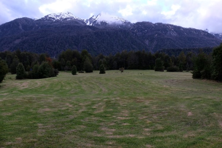 DSCF0610 (Medium).JPG