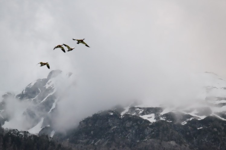 DSCF0621 (Medium).JPG