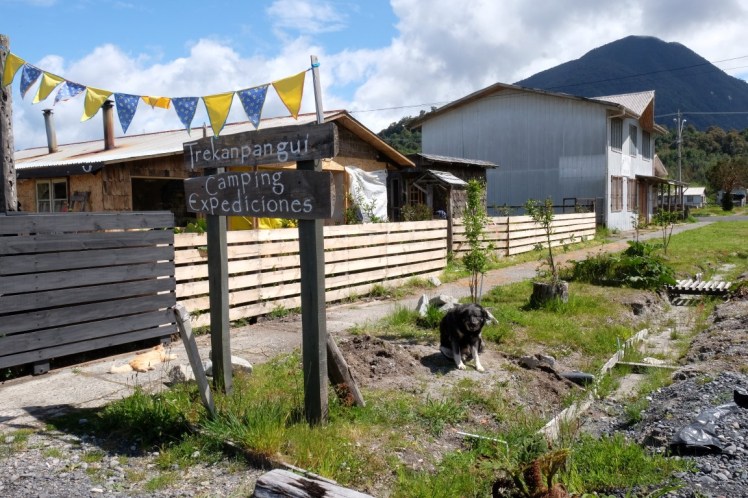 DSCF0659 (Medium).JPG