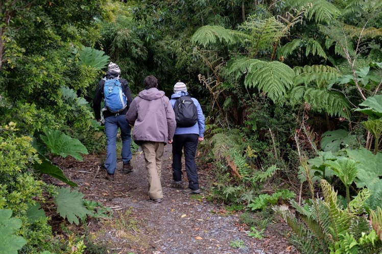 DSCF0684 (Medium).JPG