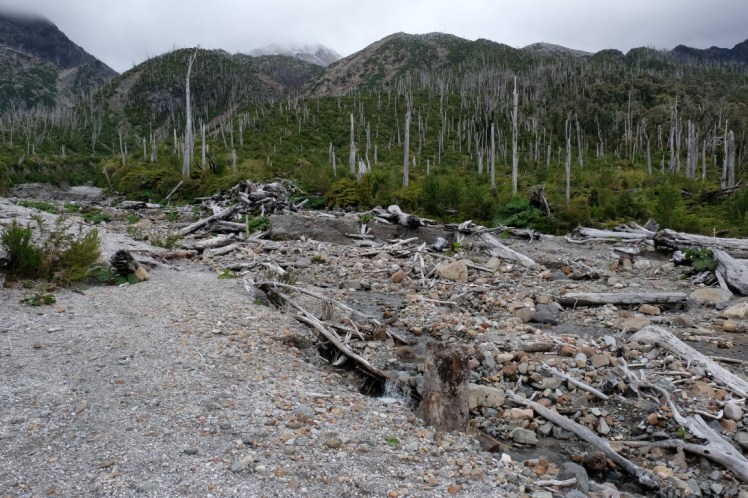 DSCF0691 (Medium).JPG