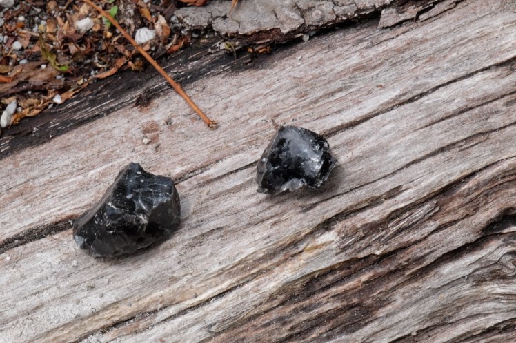 DSCF0707 (Medium).JPG