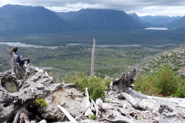 DSCF0719 (Medium).JPG