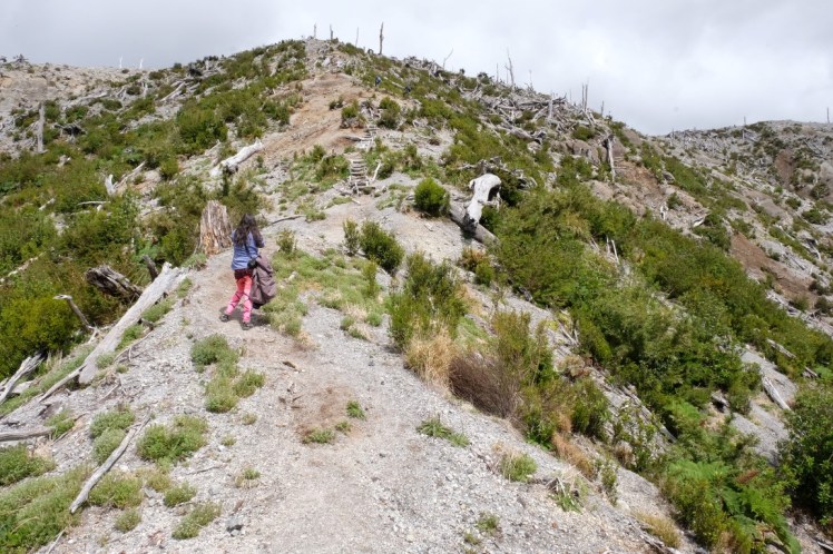 DSCF0756 (Medium).JPG