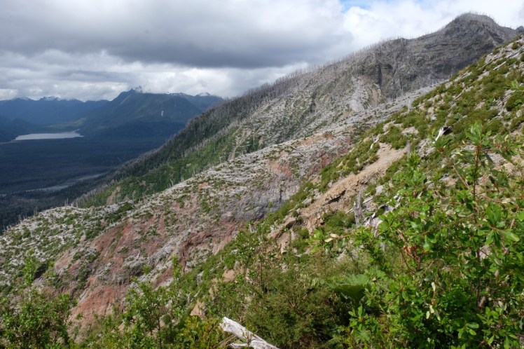 DSCF0758 (Medium).JPG