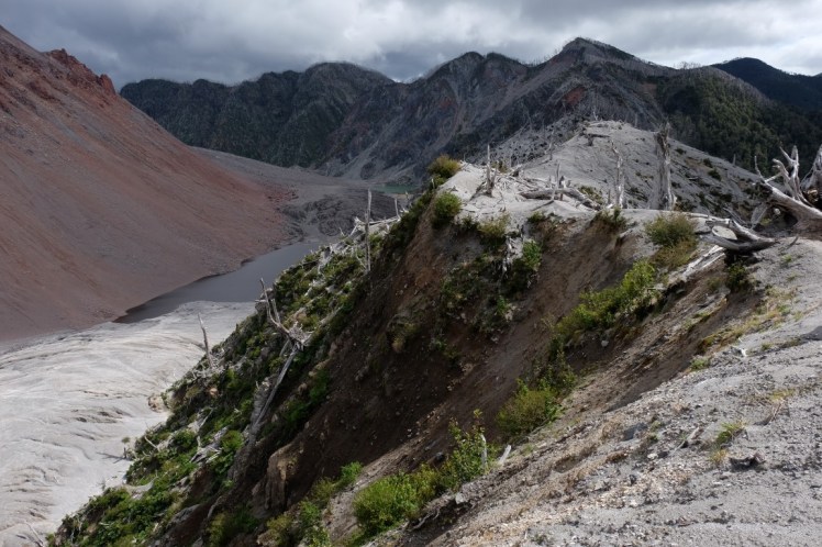 DSCF0771 (Medium).JPG