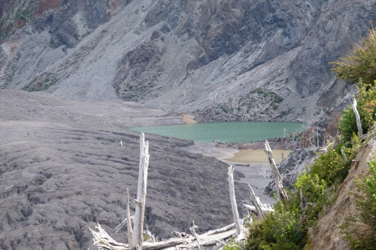 DSCF0772 (Medium).JPG