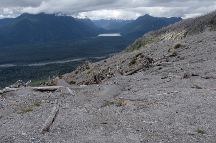 DSCF0774 (Medium).JPG