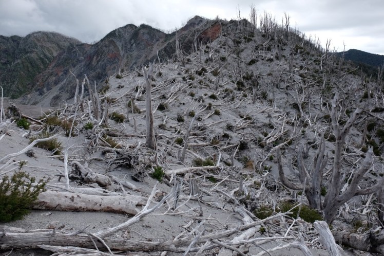 DSCF0800 (Medium).JPG