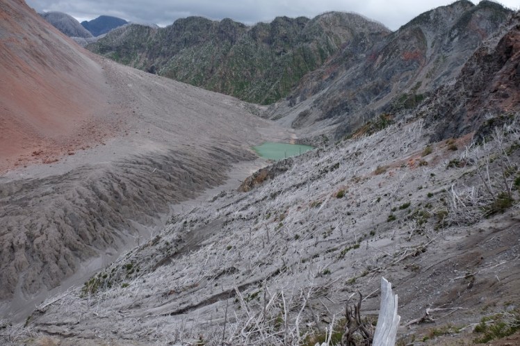 DSCF0826 (Medium).JPG