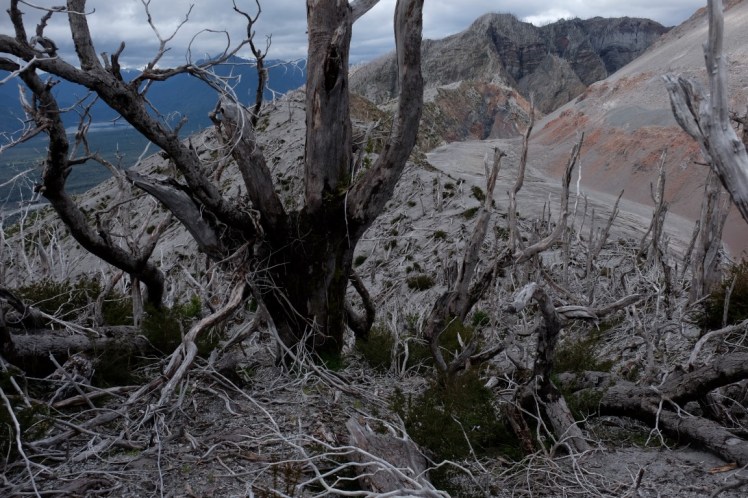 DSCF0830 (Medium).JPG