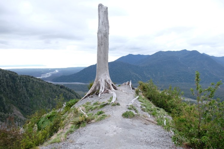 DSCF0847 (Medium).JPG