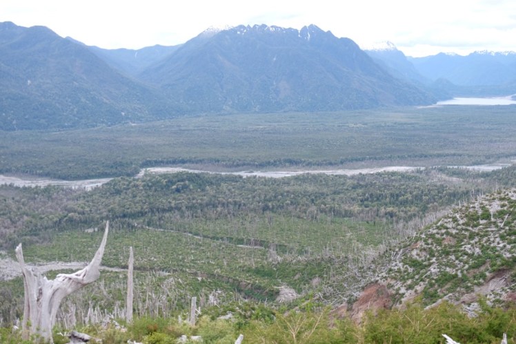 DSCF0850 (Medium).JPG